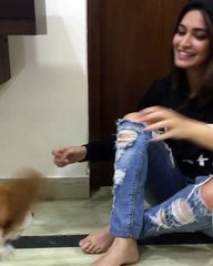 Adah Sharma With Dog Instagram Video | Bollywood Actress Videos