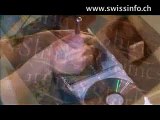 Swiss-Irish twist - Irish tunes take root in Switzerland