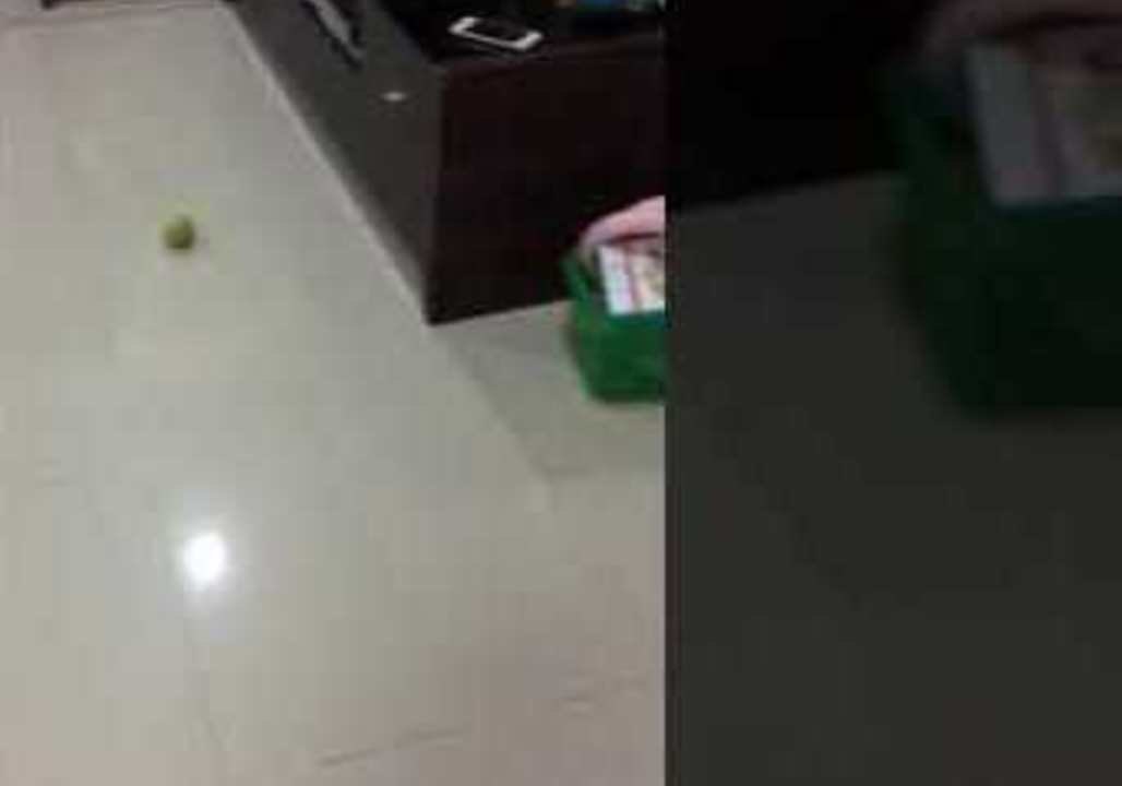 Adorable Baby Plays Ball Game With Golden Retriever