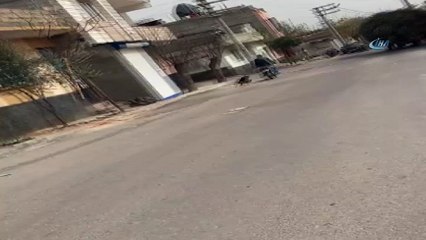 Motorsiklete bağlayıp böyle sürükledi... Köpeğe eziyet kamerada