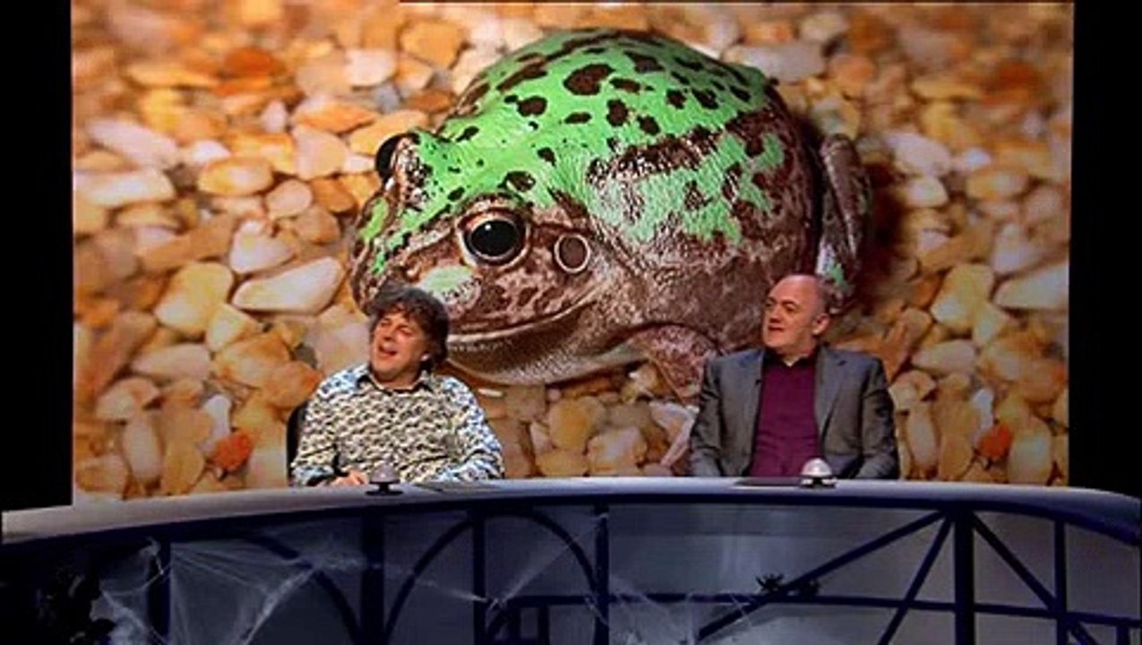 QI S08 E07 Horrible