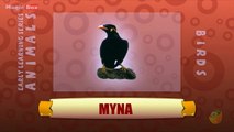 Myna - Birds - Pre School - Animated /Cartoon Educational Videos For Kids