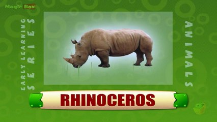 Rhinoceros - Animals - Pre School - Animated Educational Videos For Kids