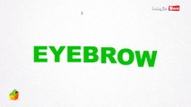 Eye Brows - Body Parts - Pre School - Learn Spelling Videos For Kids