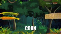 Corn - Vegetables - Pre School - Animated Educational Videos For Kids