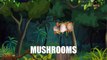 Mushrooms - Vegetables - Pre School - Animated Educational Videos For Kids