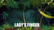 Lady's Finger - Vegetables - Pre School - Animated Educational Videos For Kids