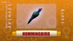 Hummingbird - Birds - Pre School - Animated /Cartoon Educational Videos For Kids