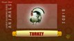 Turkey - Birds - Pre School - Animated /Cartoon Educational Videos For Kids