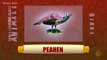 Peahen - Birds - Pre School - Animated /Cartoon Educational Videos For Kids