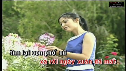 Mưa Phố - Ca Nhạc Việt Nam