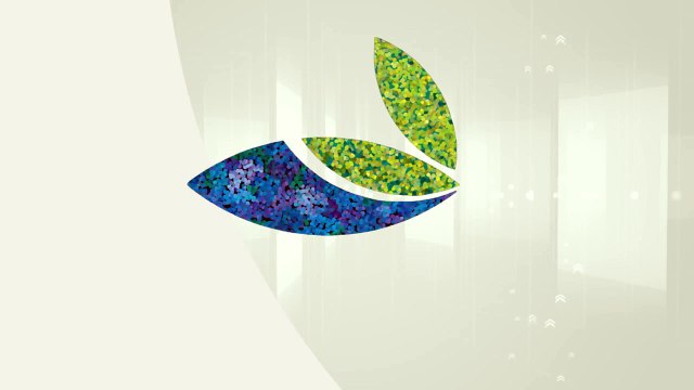 Seattle's YoungVitalizer, The Incision Less Face Lift, Eyelift, Browlift Plastic Surgery Alternative