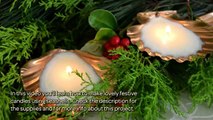 How To Make Lovely Festive Candles Using Seashells - DIY Home Tutorial - Guidecentral