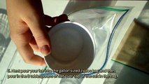 How To Homemade Ice Cream In A Bag - DIY Crafts Tutorial - Guidecentral