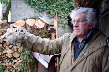 Nos chouettes choyées à Frasnes