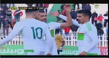 But Bounedjah ( Algérie 1 - 0 Tanzanie )