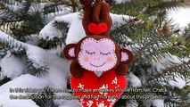 How To Make A Monkey In Love From Felt - DIY Crafts Tutorial - Guidecentral