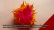 How To Make A Pretty Tissue Paper Flower - DIY Crafts Tutorial - Guidecentral