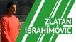 Zlatan Ibrahimovic - player profile