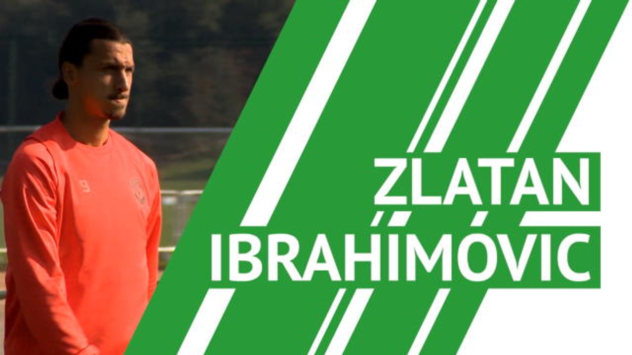 Zlatan Ibrahimovic - player profile