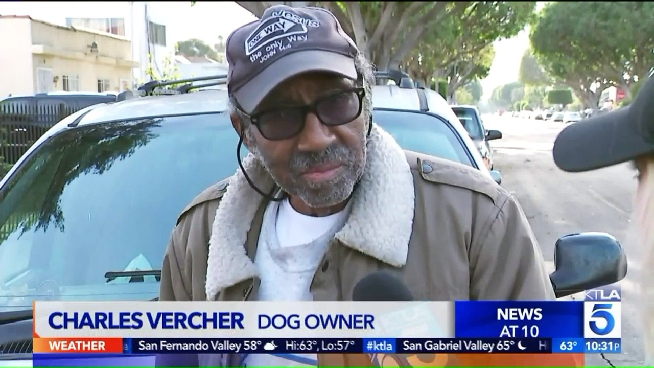 Video Shows Moments Leading Up to Fatal Shooting of Dog in Front Yard