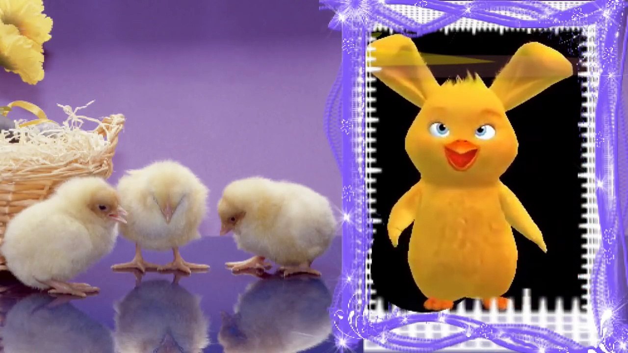 Kurczak królik życzenia taneczne na święta wielkanocne