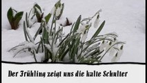 Der Frühling zeigt uns die kalte Schulter