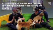 Indoor Las Vegas dog park offers shelter from heat