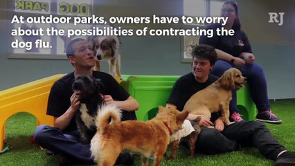 Indoor Las Vegas dog park offers shelter from heat