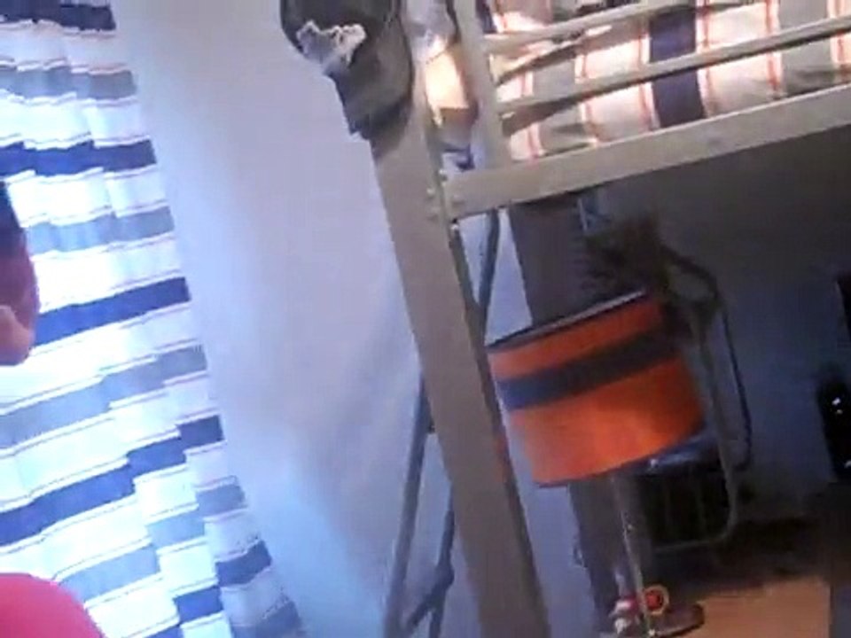 Random Video Part 4: Vote