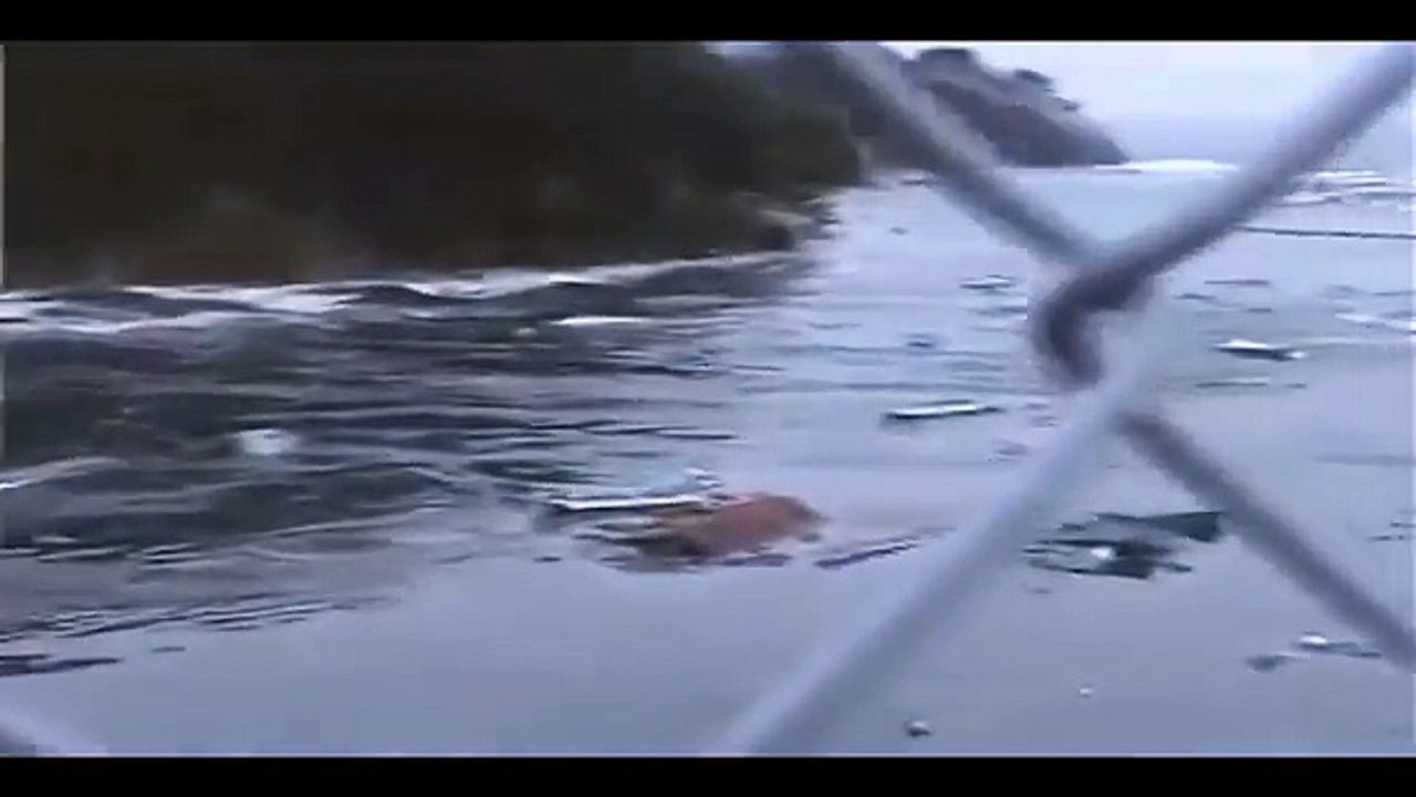 Japan New Object UFO ALIEN