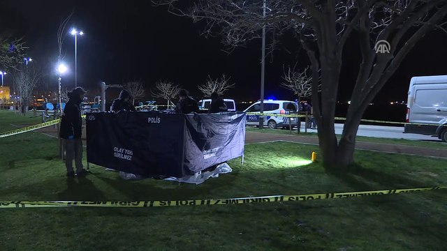 Sahilde elleri arkadan bağlı ağaca asılı ceset bulundu - İSTANBUL