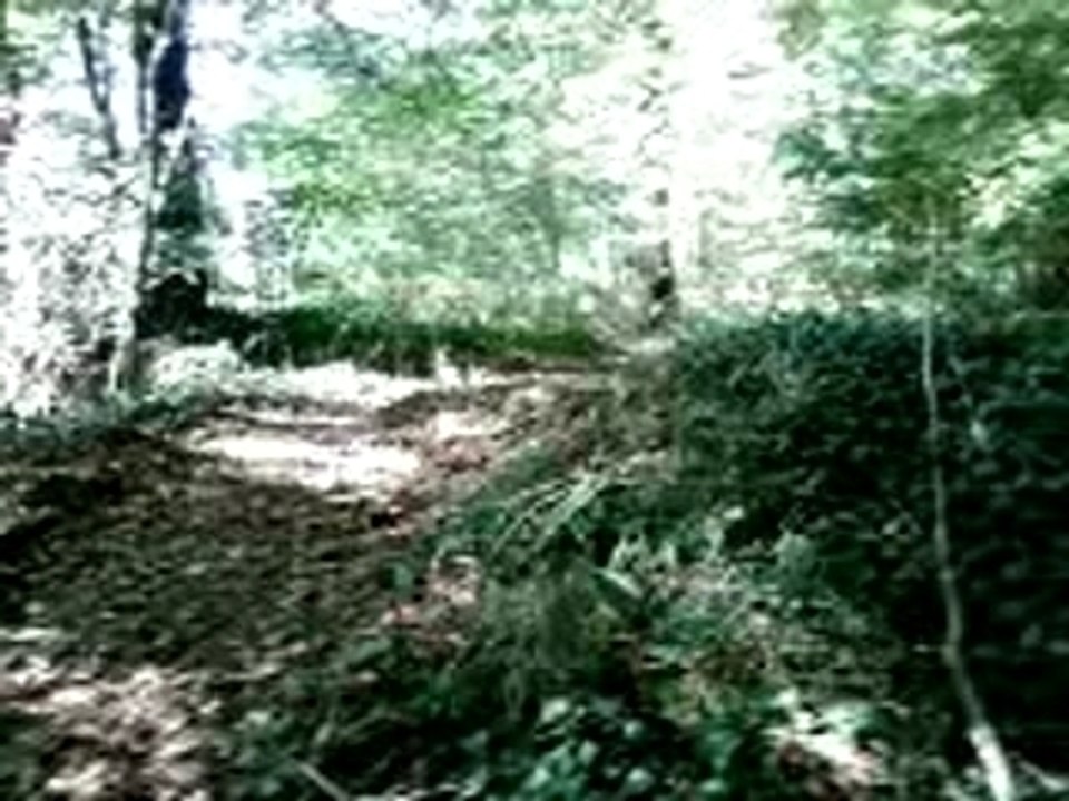 vtt