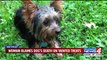 Family Blames Dog Tainted Treats for Yorkie's Death