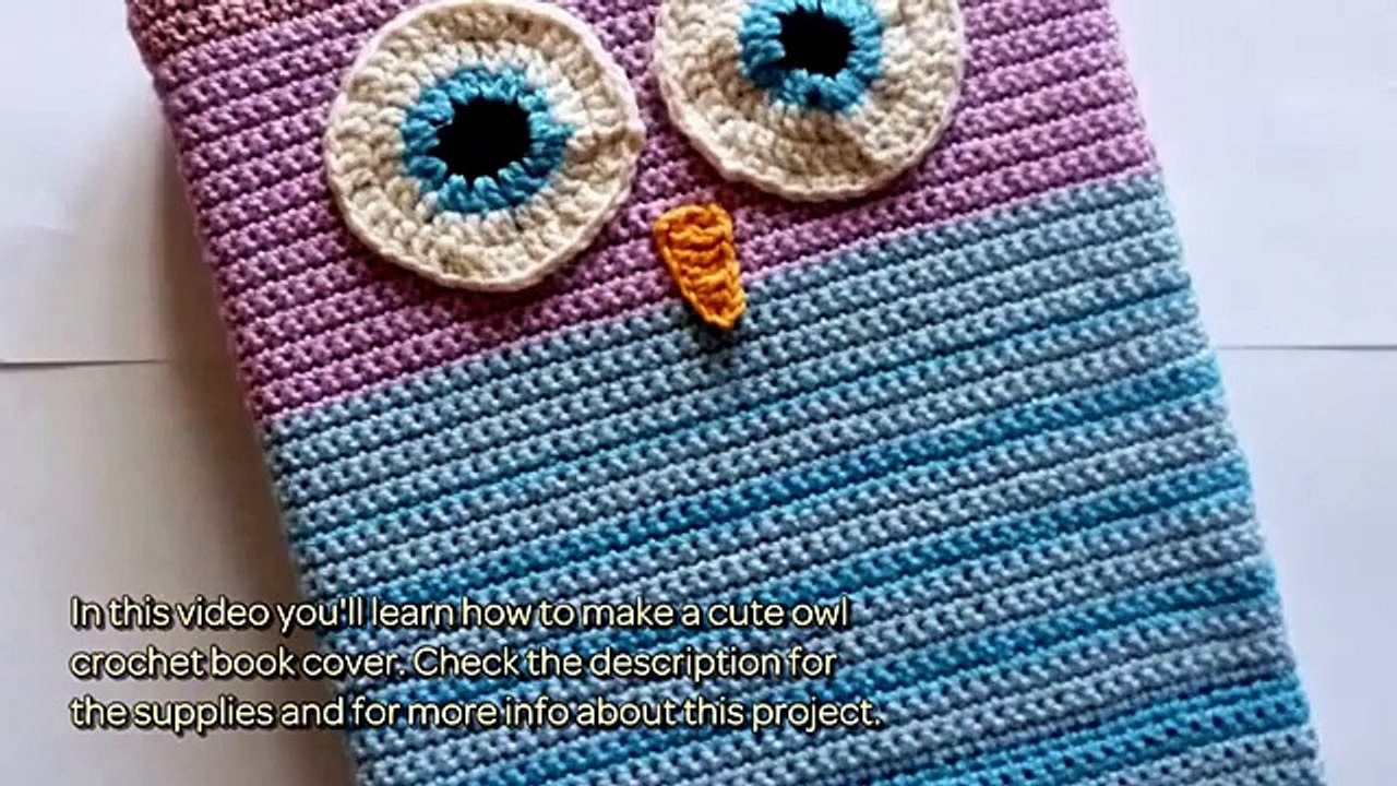 How To Make A Cute Owl Crochet Book Cover - DIY...
