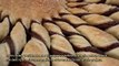 How To Prepare A Delicious Nutella Pastry - DIY Food & Drinks Tutorial - Guidecentral