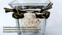 How To Make A Seashell Decorated Candle Holder - DIY Home Tutorial - Guidecentral