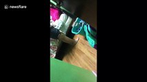 Little sister pranked into thinking she’s late for school