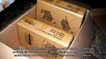 Make a Quick and Easy Cardboard Cat Castle - DIY Crafts - Guidecentral