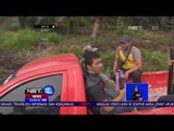 Tim Penyelamatan Harimau Sumatra Terus Berupaya Mencari Keberadaan Bonita -NET12