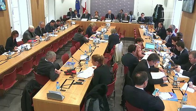 Commission des affaires économiques : Mme Nicole Notat et M. Jean-Dominique Senard, sur L' entreprise, objet d'intérêt collectif - Jeudi 22 mars 2018