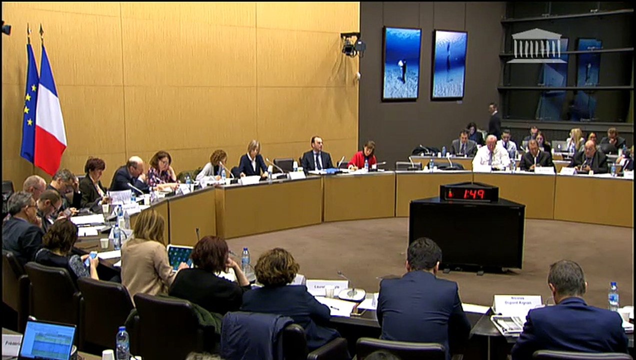 Commission des affaires étrangères : Mme Leïla Slimani, représentante personnelle du Chef de l’État pour la francophonie - Mercredi 21 mars 2018