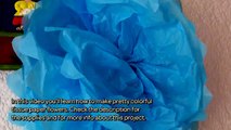 Make Pretty Colorful Tissue Paper Flowers - DIY Crafts - Guidecentral