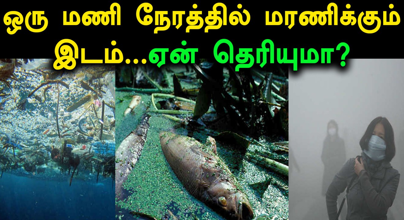இங்கு ஒரு மணி நேரம் இருந்தால் போதும்.. மரணம் நிச்சயம்- வீடியோ