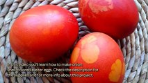 Make Onion Shell-Colored Easter Eggs - DIY Crafts - Guidecentral