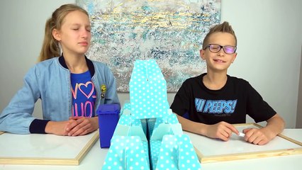 Twin Telepathy Challenge!