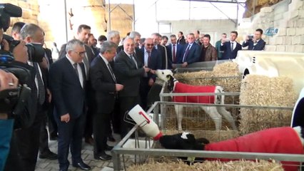 Bakan Fakıbaba: 'Niğde’den 15 ülkeye patates tohumu satacağız'