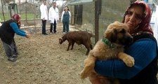 Sosyal Medyada Fenomen Olmuştu! Hatice Teyze'nin Küçük Köpeği ve Keçisi Sağlık Taramasından Geçti