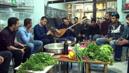 Diyarbakır’da güvercinler için sazlı sözlü çiğköfte partisi verildi