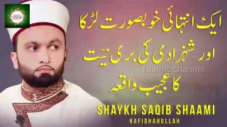 The handsome man and the bad desires of the beautiful princess by Pir Saqib Shaami